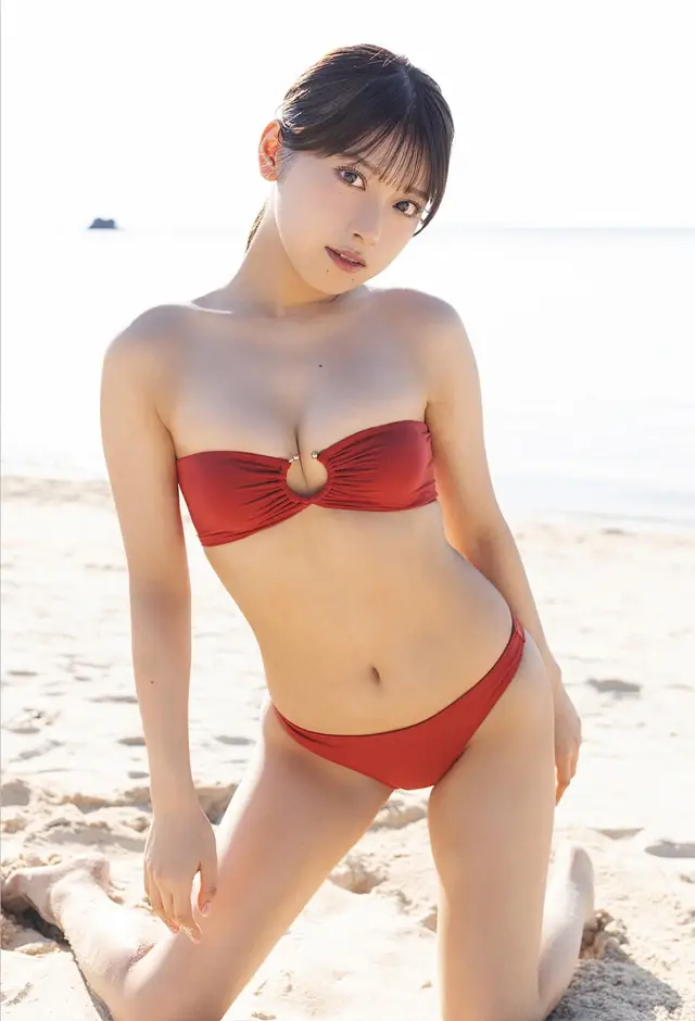 주간 플레이보이 플러스 4주년 기념 다이제스트 카탈로그 라이트 에디션 set.02