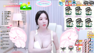 비제이들 노출 사건사고 01     bj